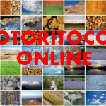 Fotoritocco online