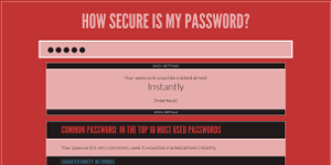 How Secure Is My Password